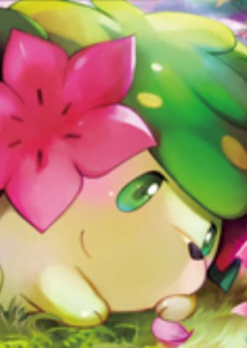 Shaymin / シェイミ