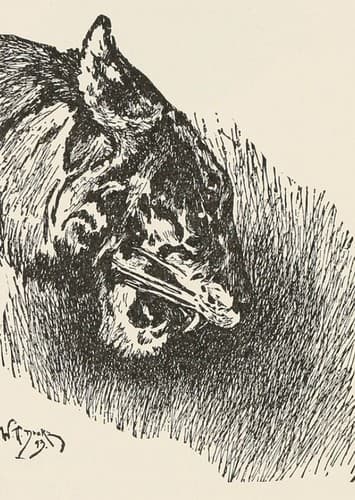 The Best Incarnation of Shere Khan