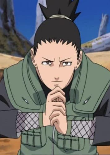 Shikamaru Nara (Future)