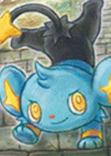 Shinx / コリンク