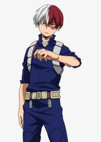 Shoto Todoroki