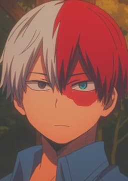 Shoto Todoroki