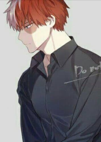 Shoto Todoroki