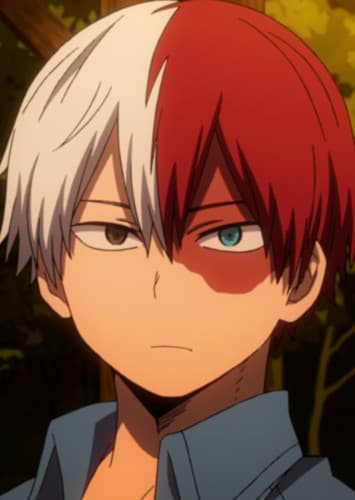Shoto Todoroki