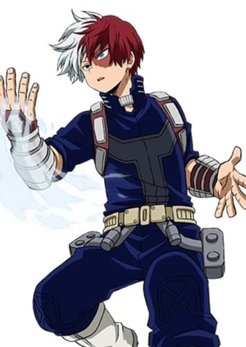 Shoto Todoroki