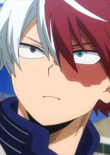 Shoto Todoroki (Future)