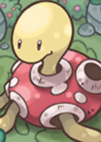 Shuckle (English Dub)