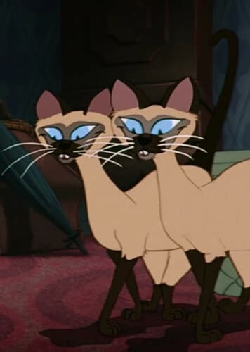 Si and Am / Devon and Rex