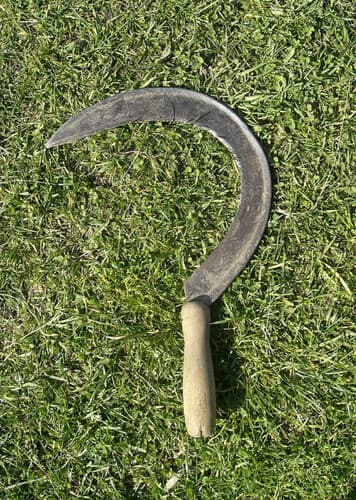Sickle