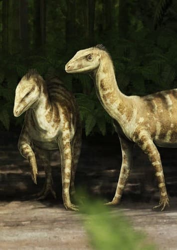 Silesaurus