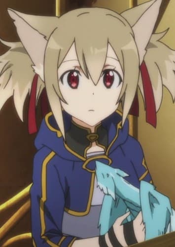 Silica (Future)