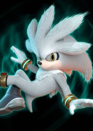 Silver the Hedgehog