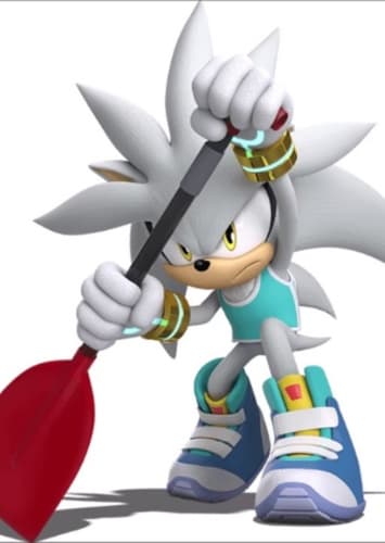 Silver the Hedgehog