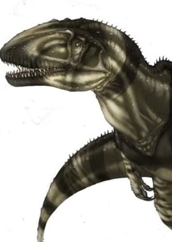 Sinraptor