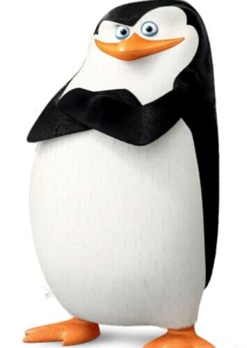 Skipper The Penguin
