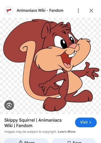 Skippy squirrel
