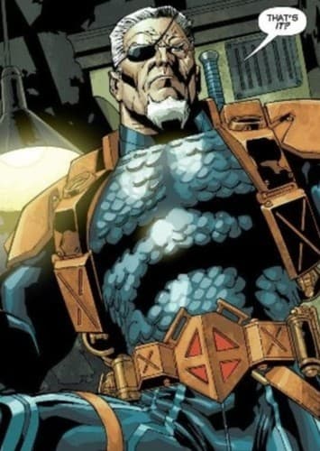 Slade Wilson / Deathstroke