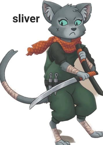 Sliver