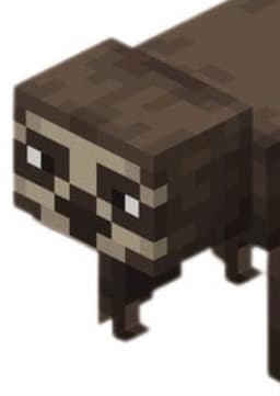 Sloth