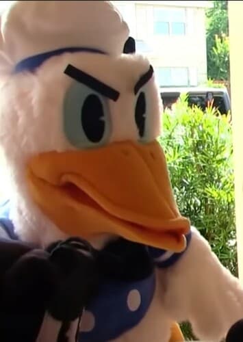 sml Donald Duck