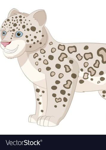Snow Leopard