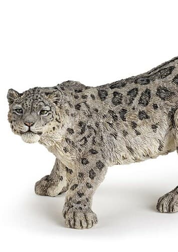 Snow Leopard