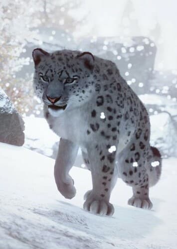 Snow Leopard