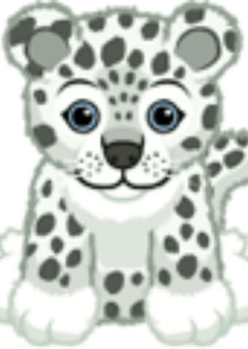 Snow Leopard Cub