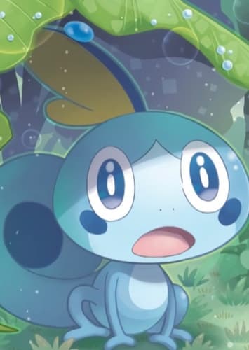 Sobble / メッソン