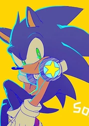Sonic the hedgehog