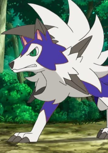 Sonic's Lycanroc