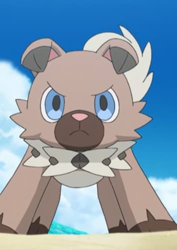 Sonic’s Rockruff