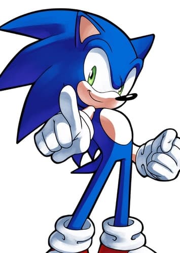 Sonic the Hedgehog