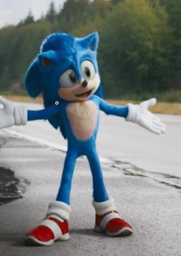 Sonic The Hedgehog
