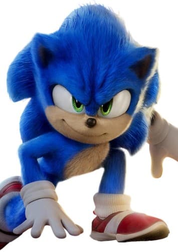 Sonic the hedgehog