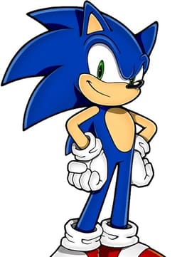 Sonic the hedgehog