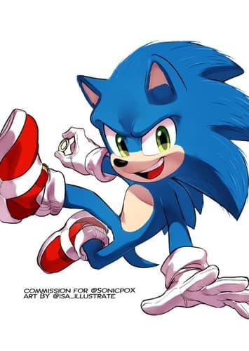 Sonic the hedgehog ⚡⚡