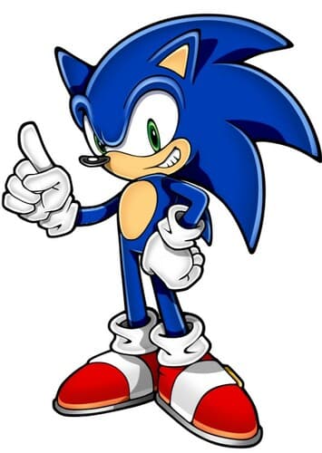 Sonic the hedgehog