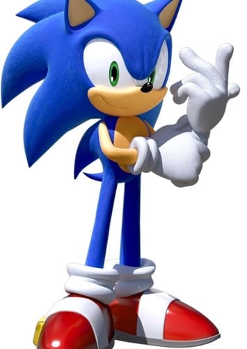 Sonic the hedgehog