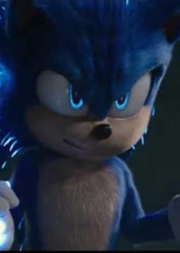 Sonic The Hedgehog