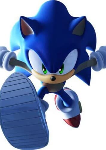 Sonic the hedgehog