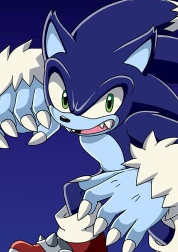 Sonic The Werehog