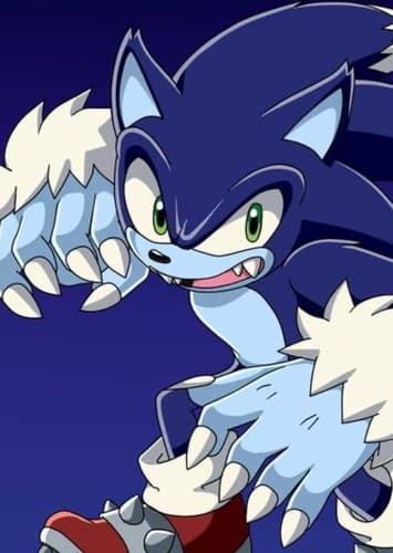 Sonic The Werehog