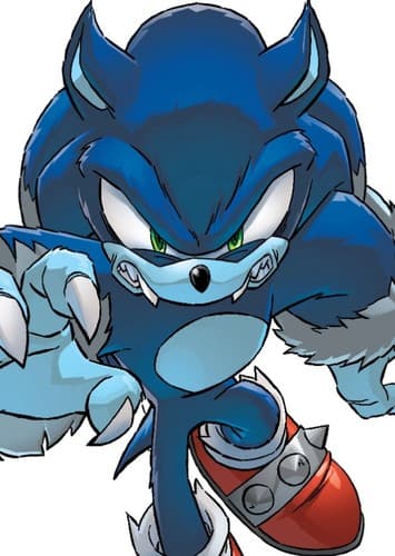 Sonic The Werehog