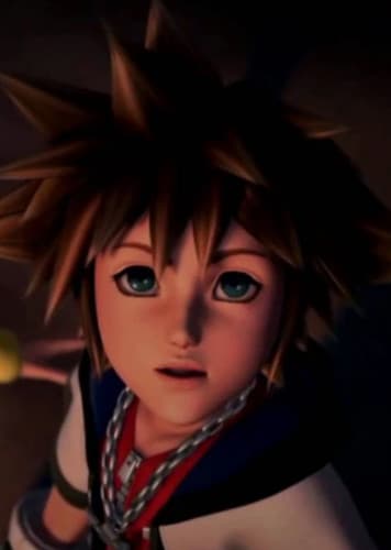 Sora / Roxas / Ventus / Vanitas
