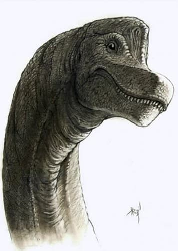 Sorbus the Brachiosaurus