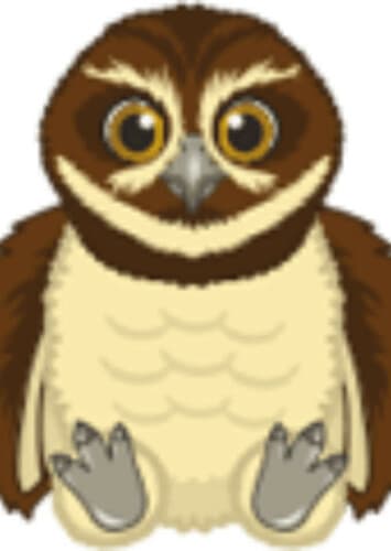 Spectacled Owl