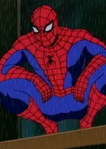 Spider Man ( 1990s )
