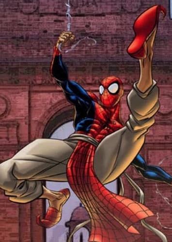 Spider Man India
