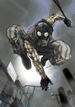 Spider-Man Noir